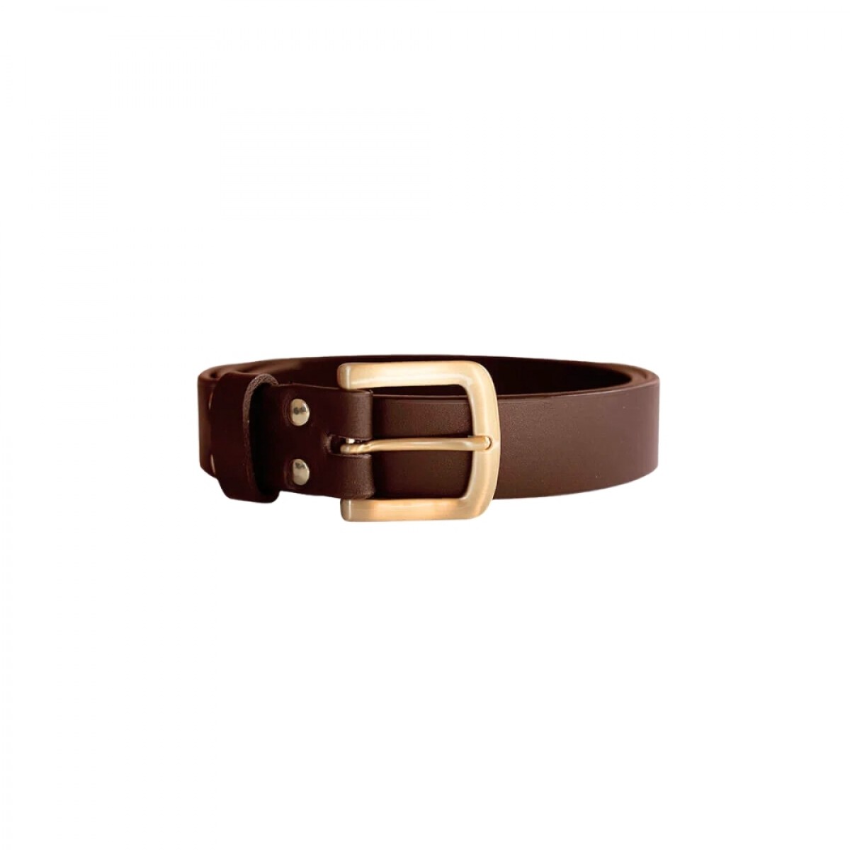 buckingham belt gold - brown