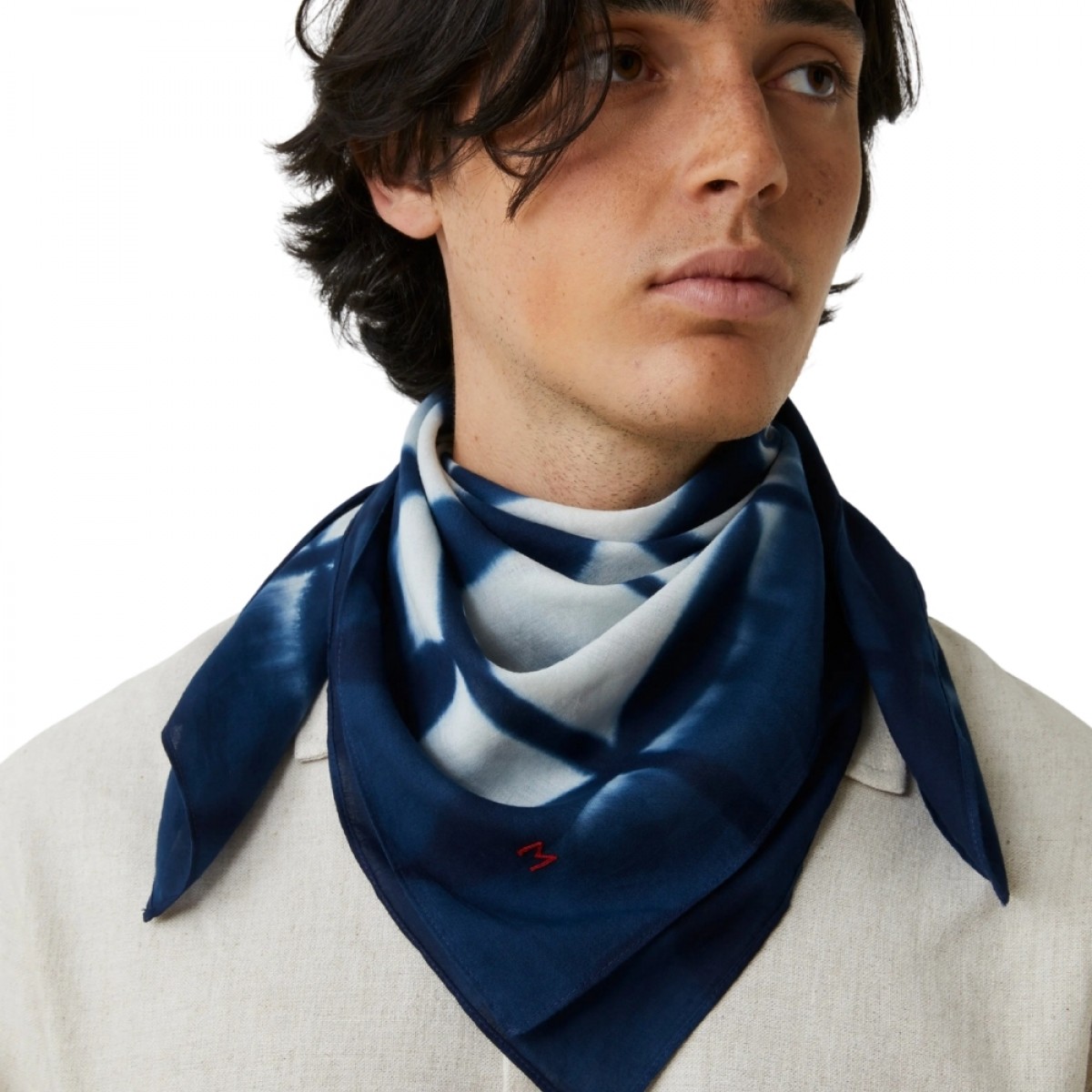 moismont pie no 766 scarf - ink - look