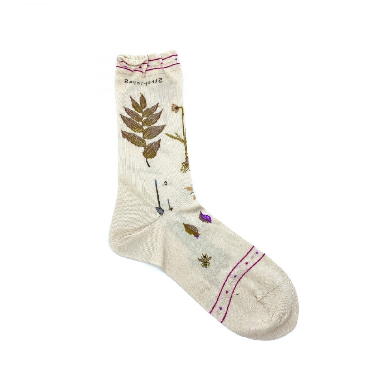 antipast botanical xvll - ivory