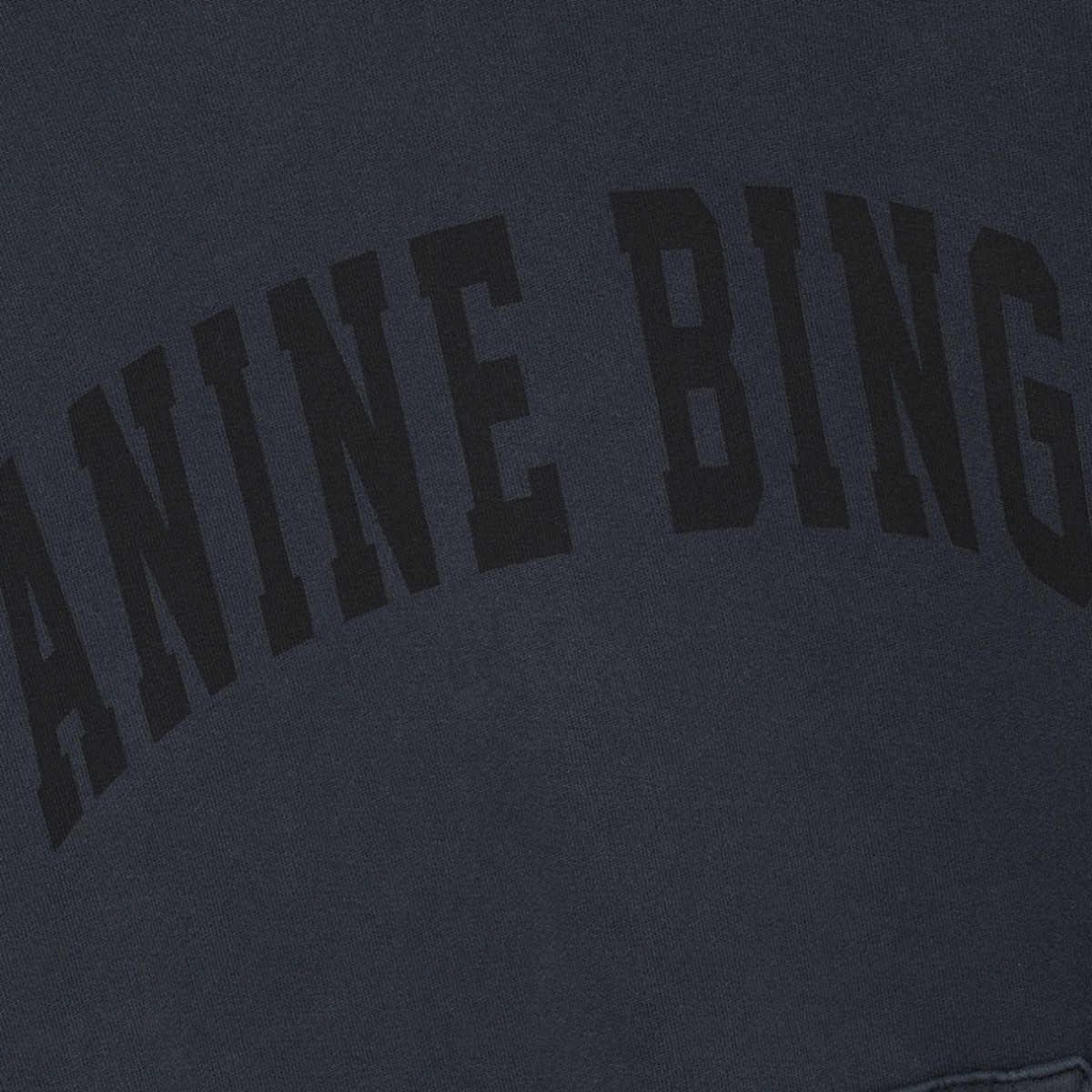 anine bing harvey sweatshirt - washed black - logo