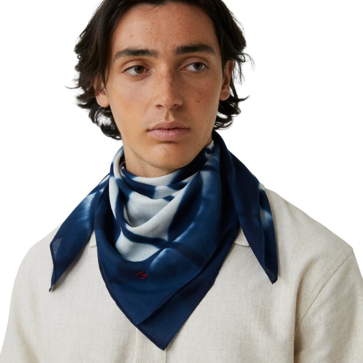 moismont pie no 766 scarf - ink - model look