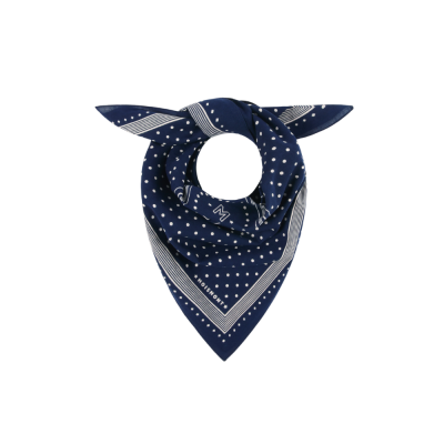 moismont scarf allegra no843 comedia - blue