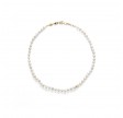 anni lu petit stellar pearly necklace - gold