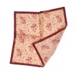 handkerchief pink toile - red