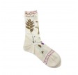 antipast botanical xvll - ivory