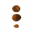 frama body scrub apothecary